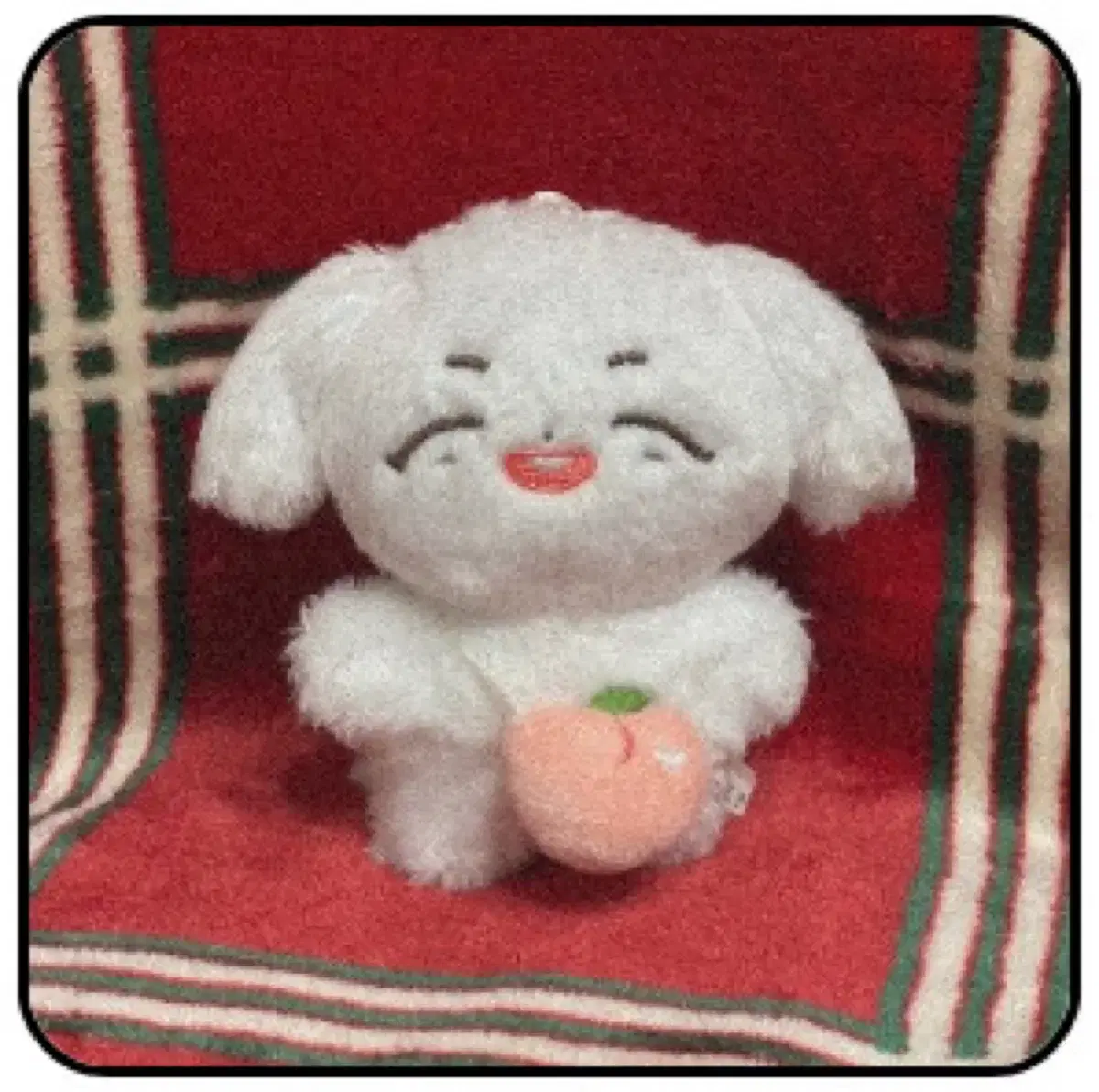 BTOB チャンソプ 15cm ドール ぬいぐるみ BTOB - BTOB チャンソプ ぬいぐるみの通販 by sanaa.xx's shop